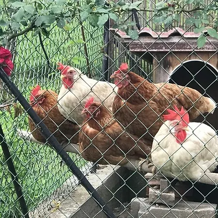 Apartman A Due Passi