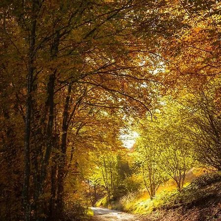 Apartment A Due Passi Farra d'Alpago