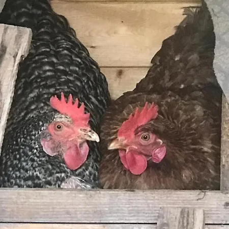 A Due Passi * Farra d'Alpago