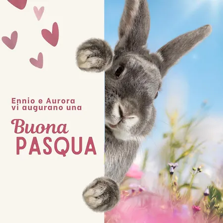 A Due Passi Farra d'Alpago