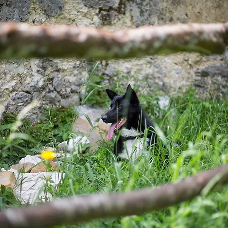 A Due Passi * Farra d'Alpago