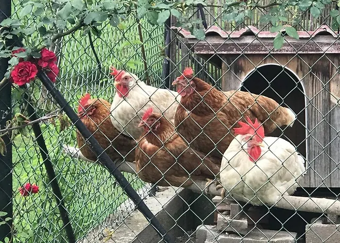 Apartmán A Due Passi