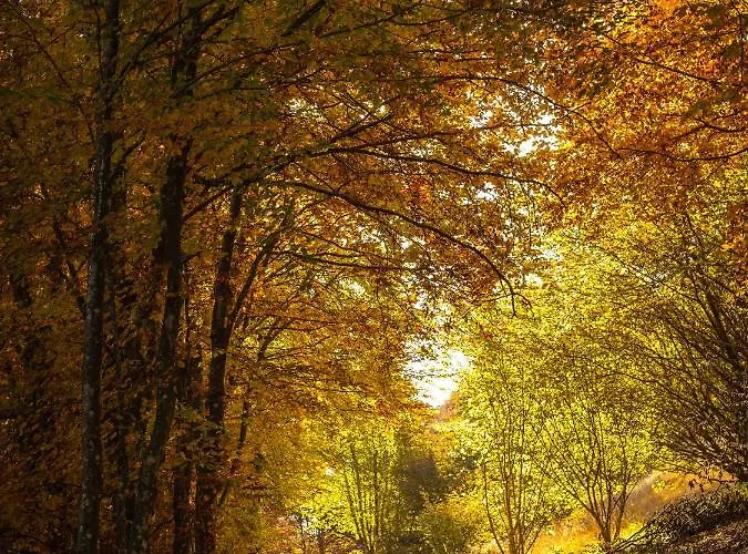 Apartmán A Due Passi Farra d'Alpago