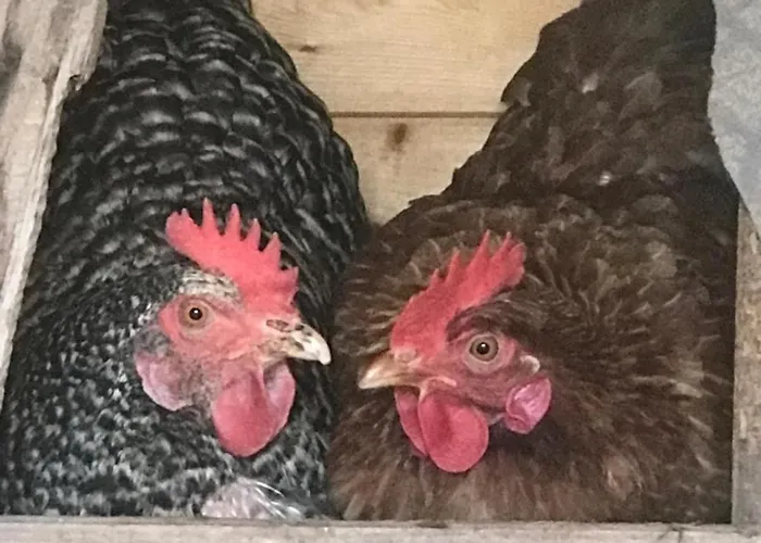 A Due Passi * Farra d'Alpago