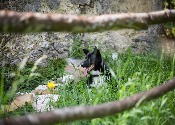 A Due Passi * Farra d'Alpago